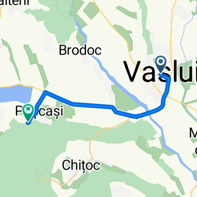 Vaslui-Puscasi(sat)