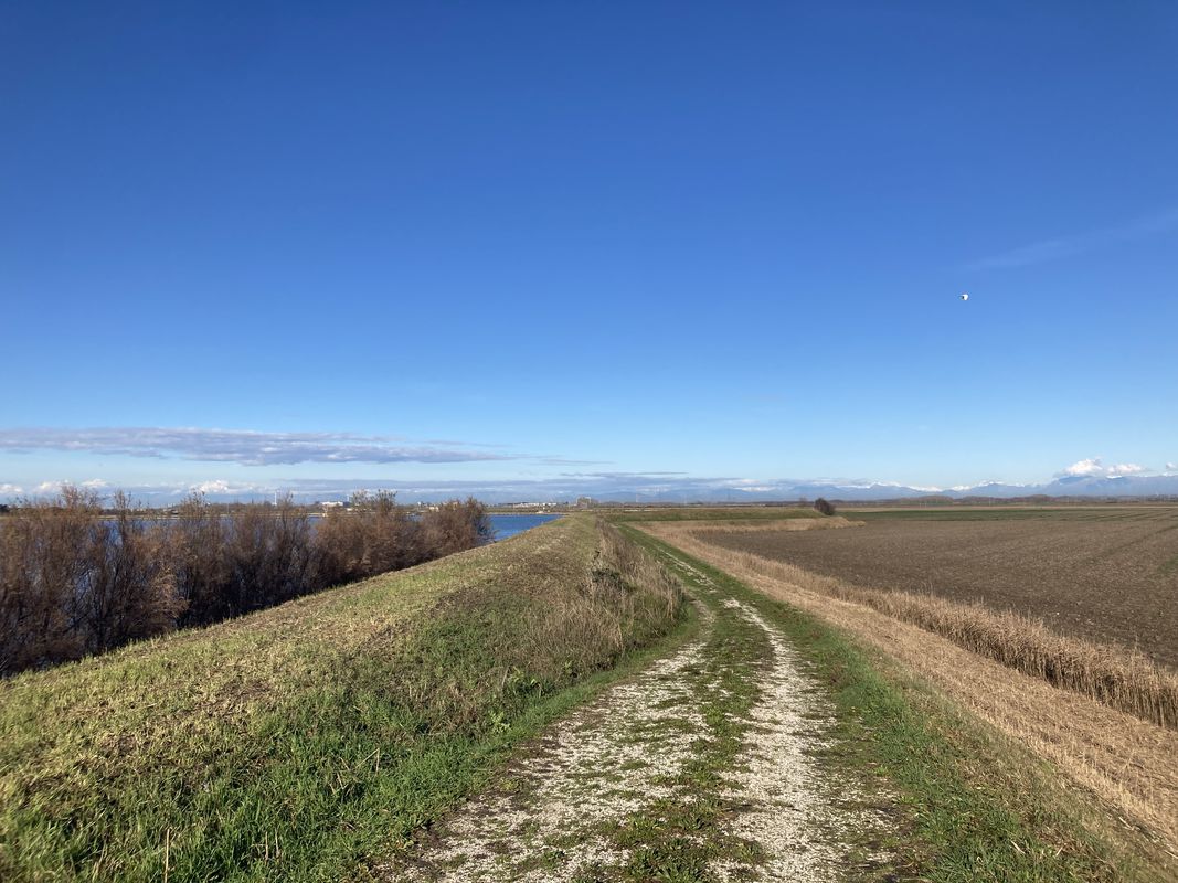 04 - ITINERARIO DELL' AGRO AQUILEIESE / RADTOUR DURCH DIE LANDWIRTSCHAFTLICHEN GEBIETE UM AQUILEIA / ITINERARY OF THE AQUILEIAN COUNTRYSIDE