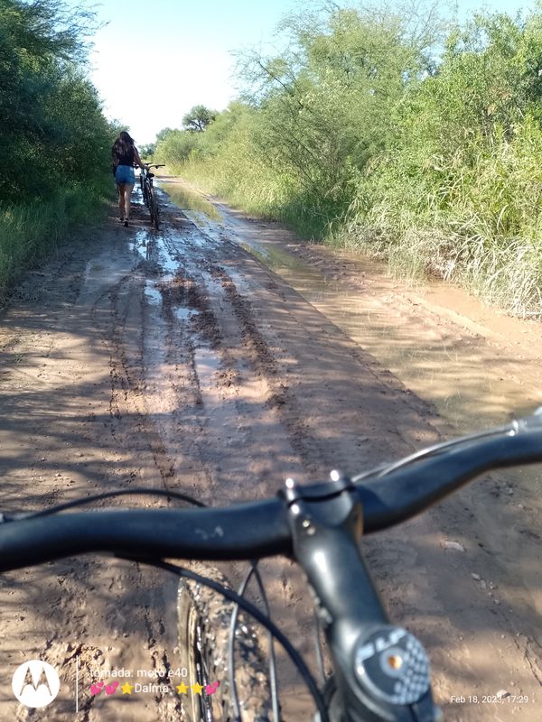 Ruta moderata