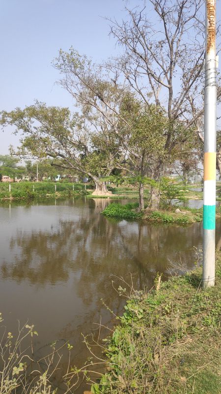 Tundla to bulee well convent school 🏫, Tundla Rly. Colony