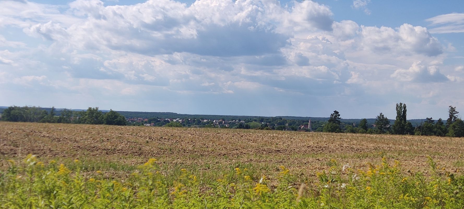 Látóhegy - Gáspár-hegy - Nagyrécse - Bacónaki-hegy - Cserfő