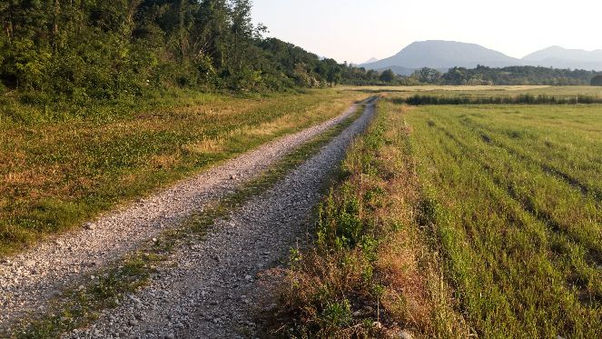 solo_23_21_Valvasone - Gemona
