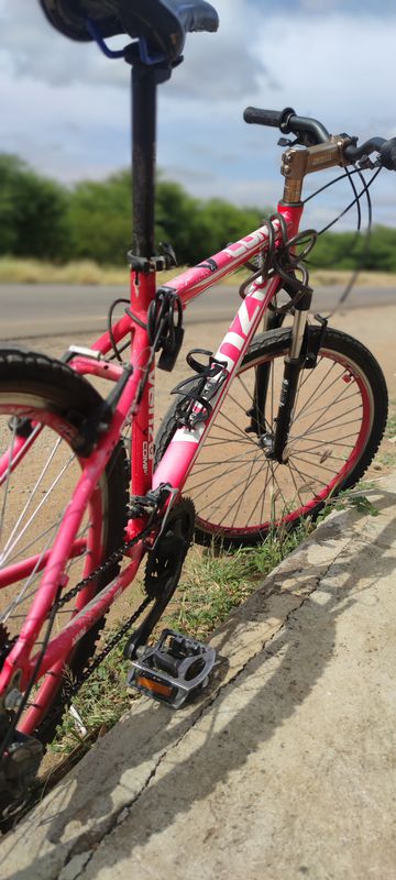 pedal 26/02