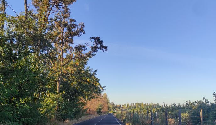 Foto 1 der Bikemap-Route "De K-60, Pencahue a Gómez de Alvarado 51, Pencahue"