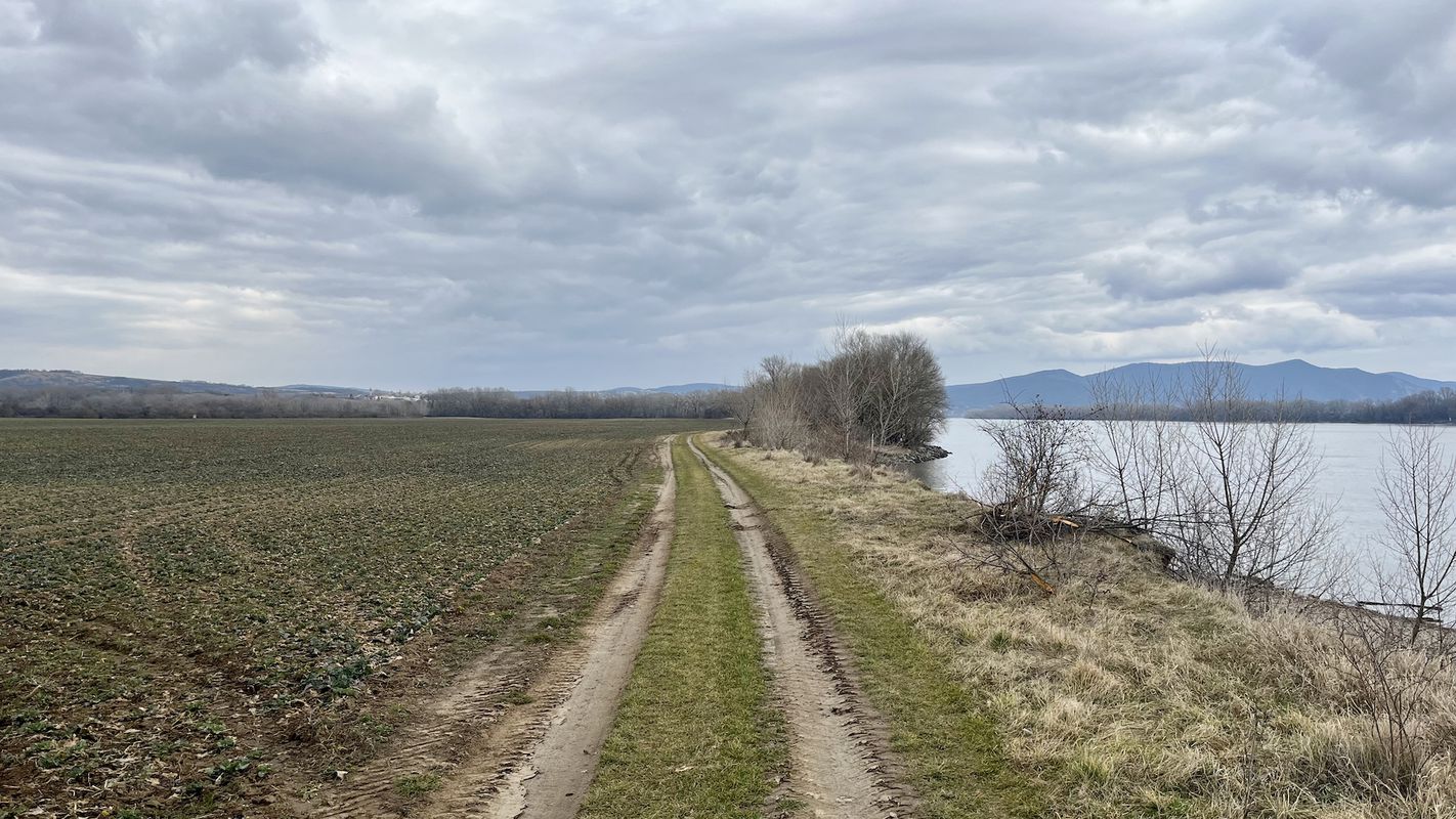 Esztergom to Nagymaros (Visegrad) via Vilagi Winery