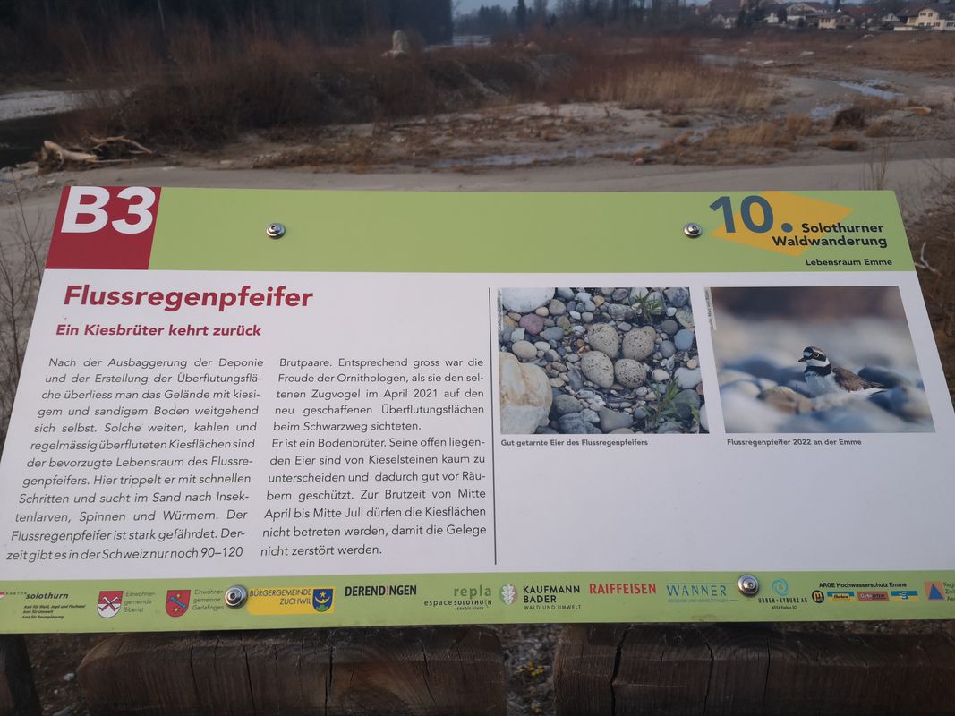 2. E-MTB Fahrt mit Test 👍 💪 😎 😎