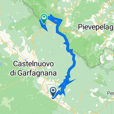 ufficiale1 fiori