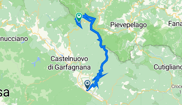 ufficiale1 fiori