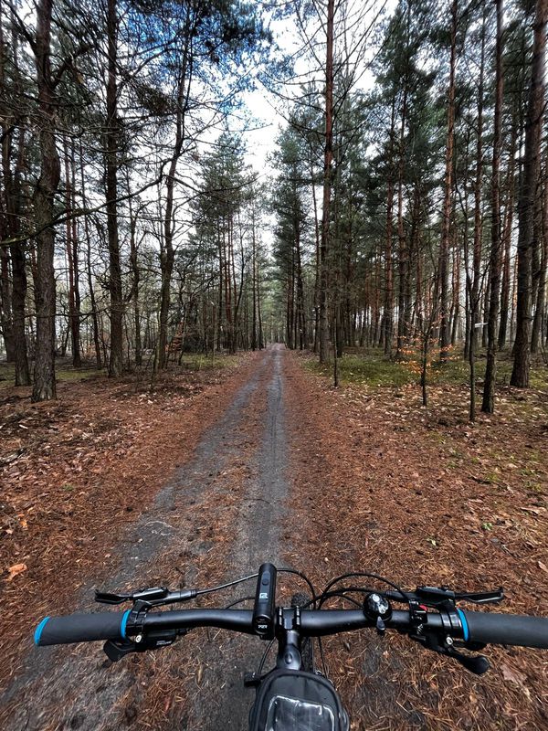 Pętla ZIELONA POGORIA