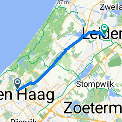 denhague to leiden