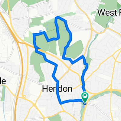 Hendon Cycling