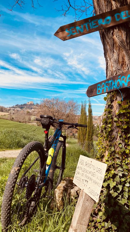 Bellaria-Igea Marina Cycling