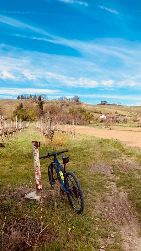 Bellaria-Igea Marina Cycling