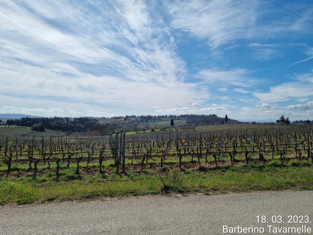 2023 - 03 Toscana