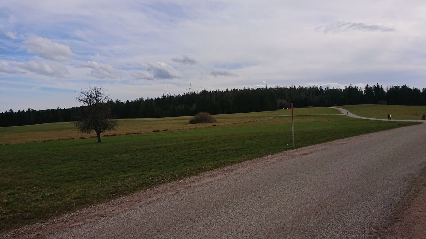 Schiltach, Mooswaldkopf, Windkapf - Teil 1/2