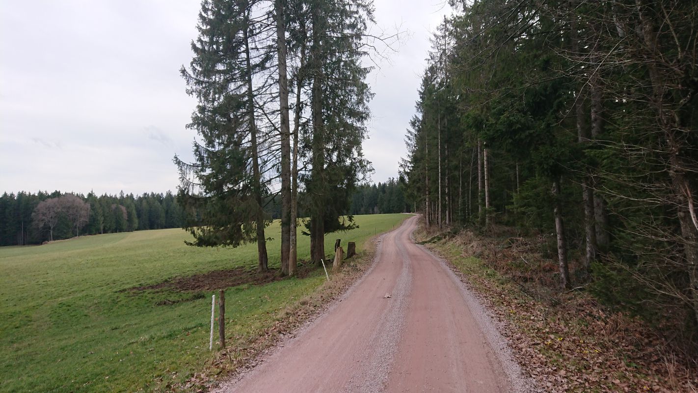Schiltach, Mooswaldkopf, Windkapf - Teil 1/2