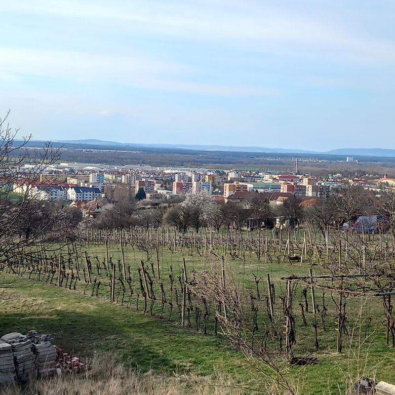 Vrádište, priehrada-Prietržka, M.Háj, Skalica, Baťák, Kátov do Vrádište