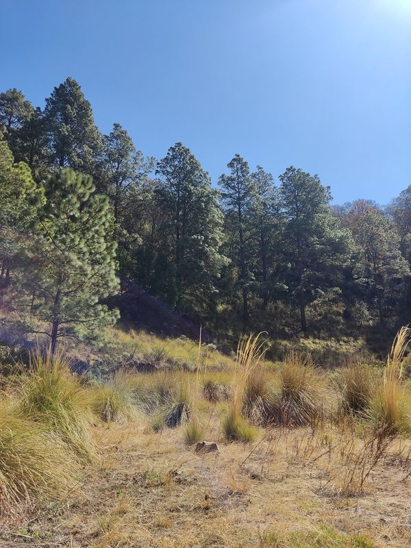 De Camino Al Cerro Del Cuahualt a Ocoyoacac-Santiago Tianguistenco 10, Pedregal de Guadalupe Hidalgo