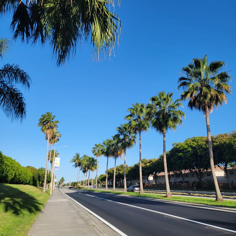 Paseo tranquilo