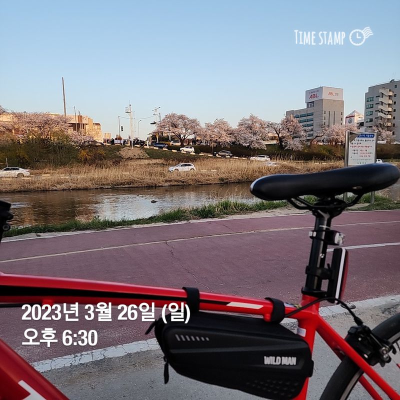 사직동 95, 청주시 to 사직동 79, 청주시