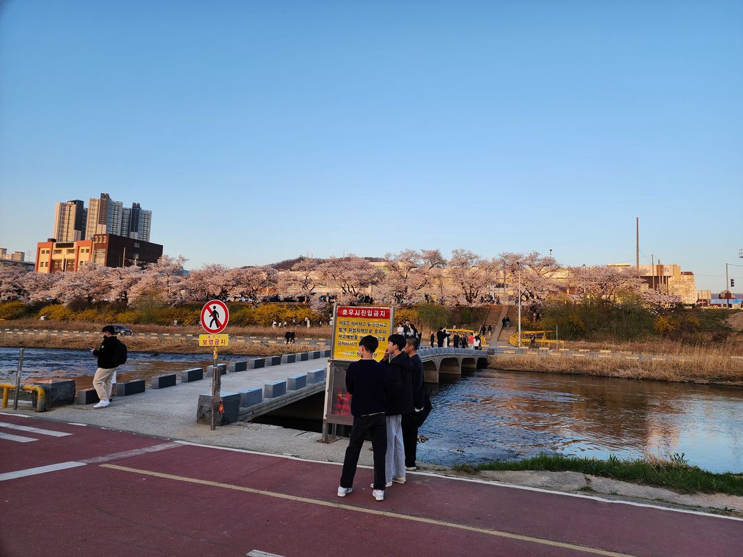 사직동 95, 청주시 to 사직동 79, 청주시