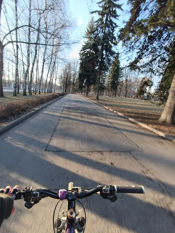 Ленинские горы и парк Горького