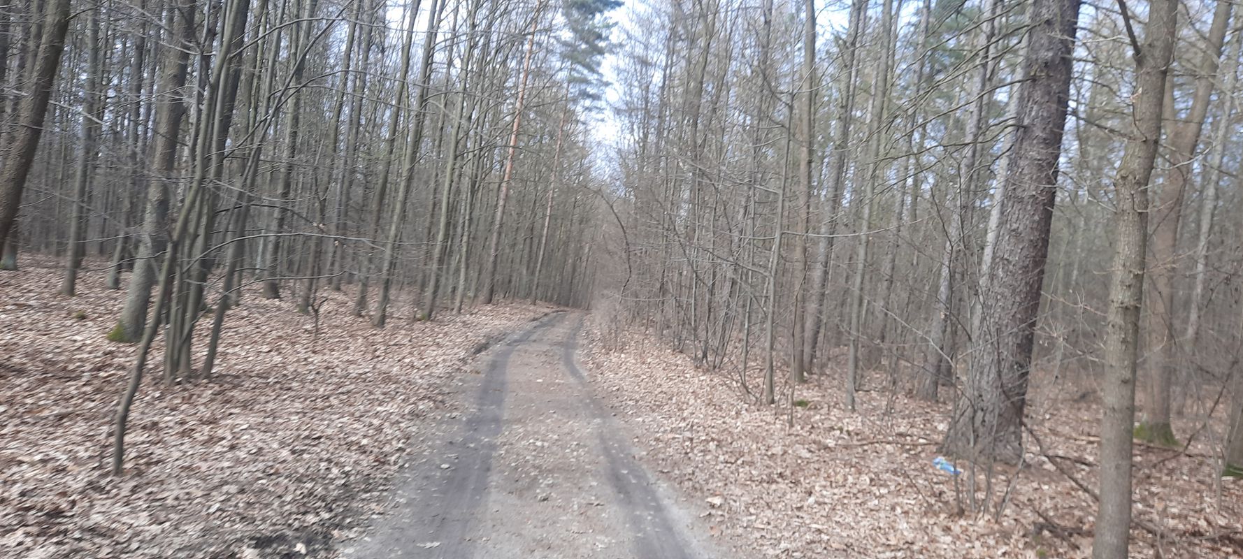 Chorz贸w, Miko艂贸w, Chorz贸w