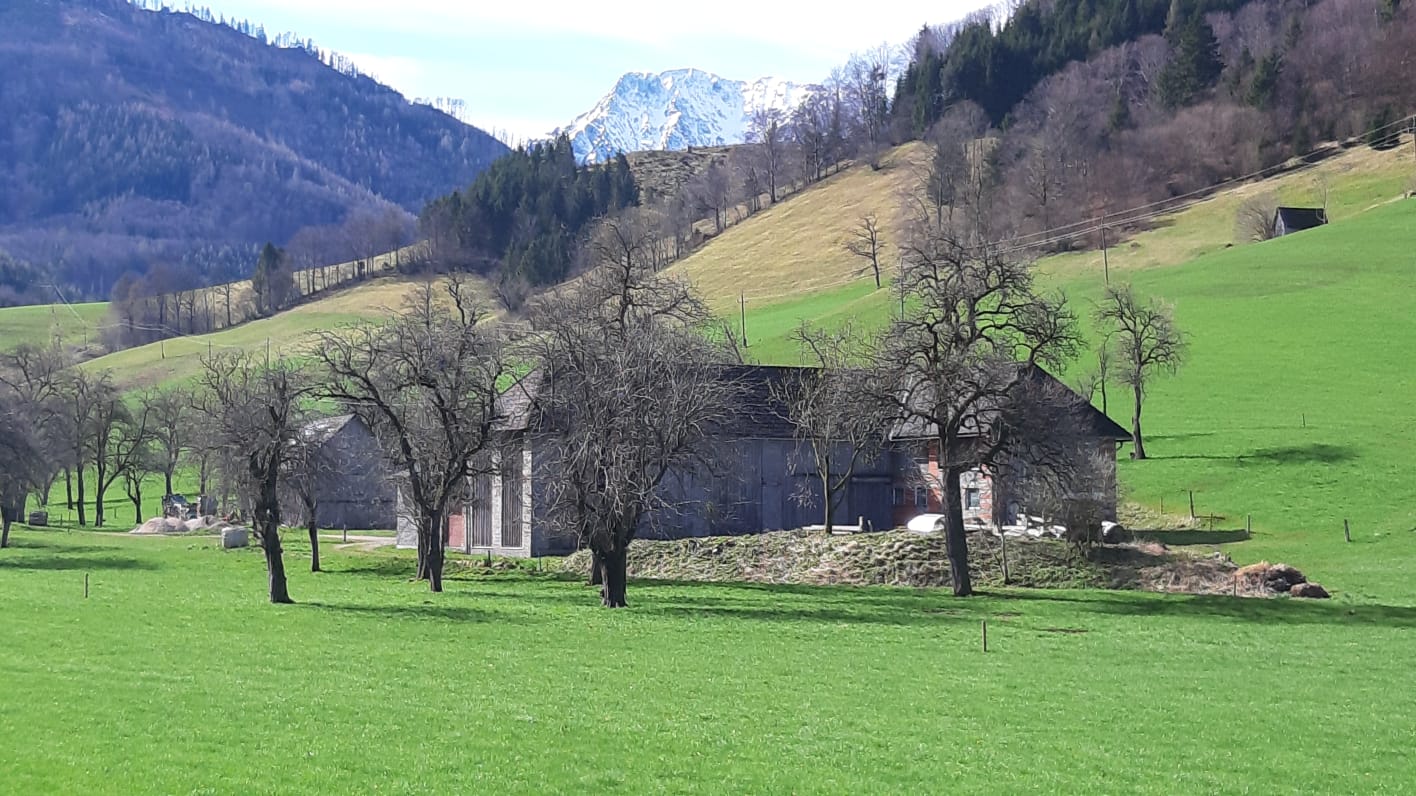 Von Molln über Mollnrunde nach Steyr
