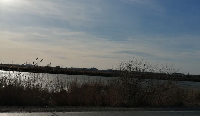 Photo 1 of the Bikemap route "От улица Салютная 23, Челябинск до улица Салютная 23, Челябинск"