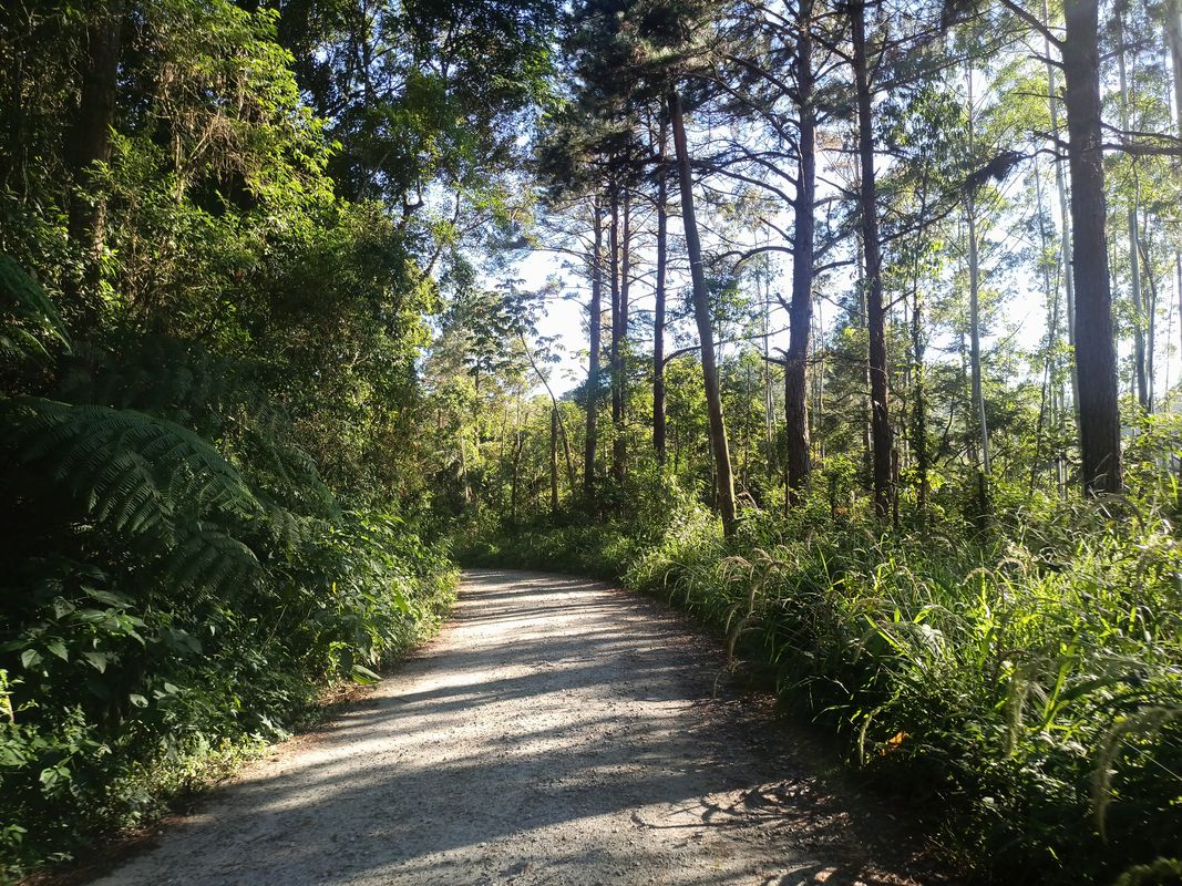 P.Q. Itaberaba/ ouro fino/Santa Isabel.
