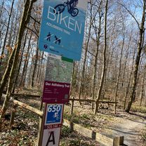 Schwerzenbach-Loorenkopf Trail