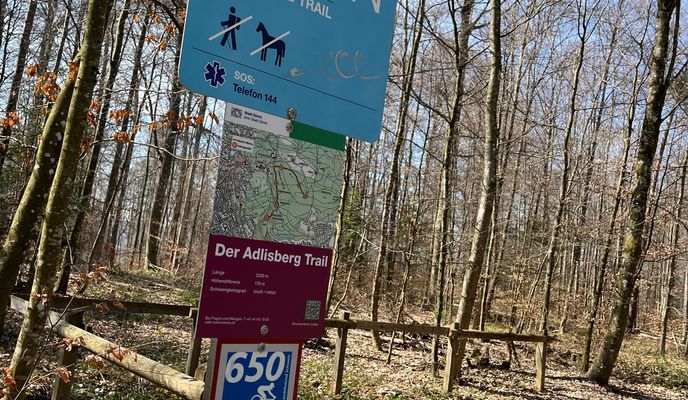 Foto 1 der Bikemap-Route "Schwerzenbach-Loorenkopf Trail"