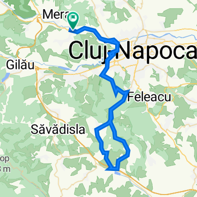 Suceagu - Prunis