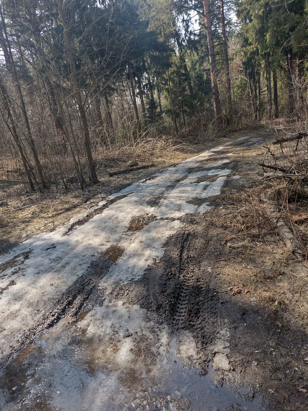 Покатушки Апрель 23