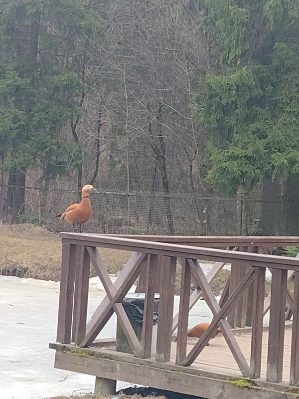 Покатушки Апрель 23