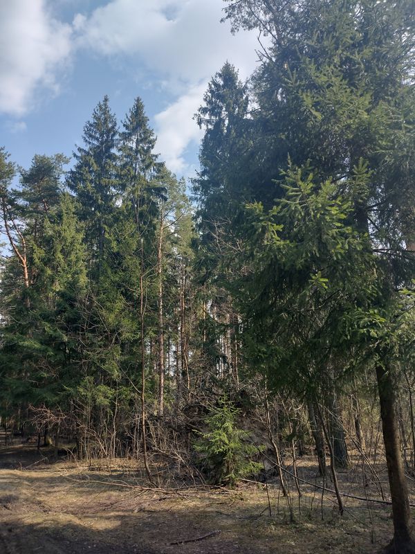 Покатушки Апрель 23