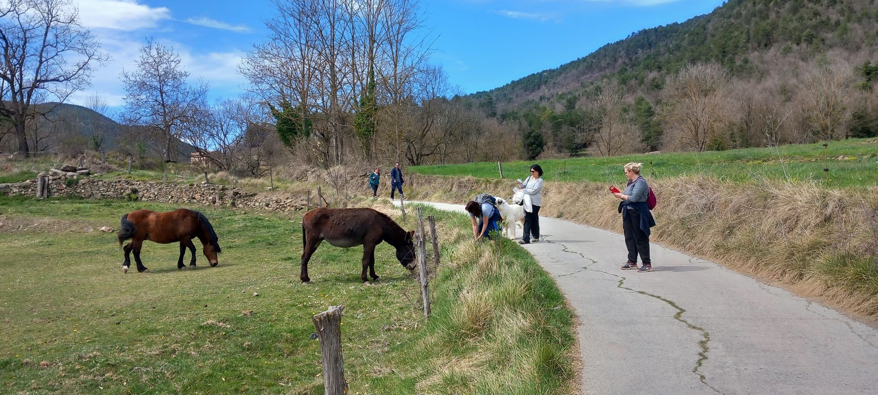 De Via sense nom, Ripoll a Urbanitzacio la Torre 14, Ripoll