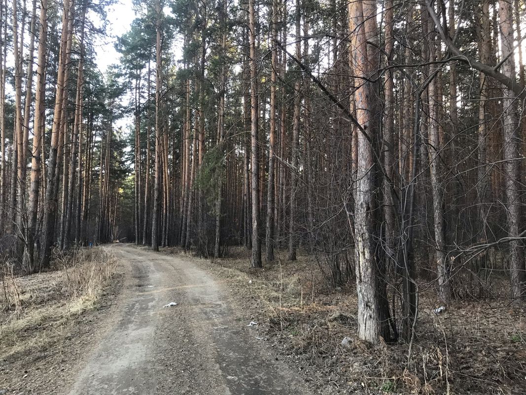 Чкаловский, Екатеринбург до Лифтостроитель-4 Снт улица, 25, Екатеринбург