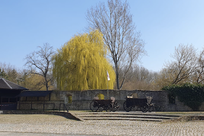Rundtour Magdeburg-Wasserschloss Egeln