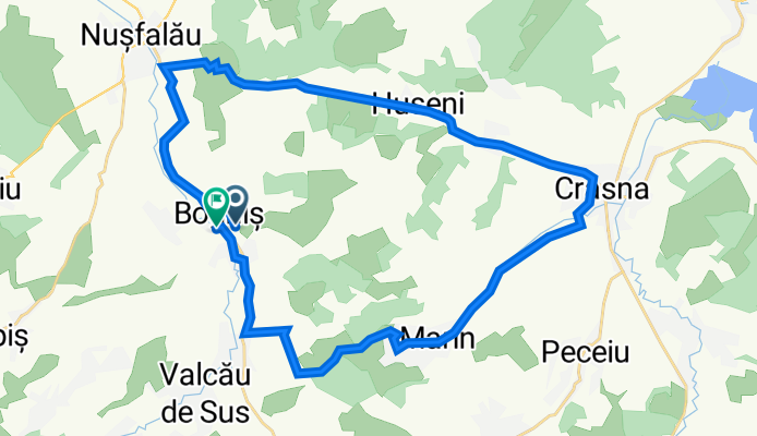 Tura Boghiș