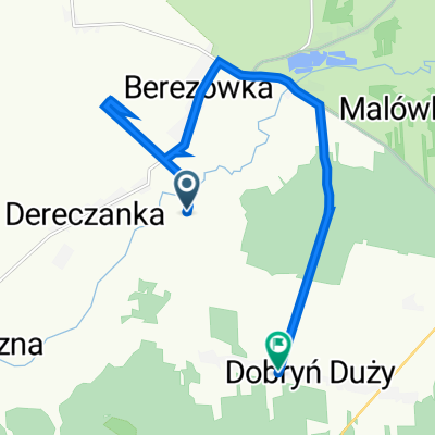 Dobryń-Kolonia, Zalesie do Dobryń Duży 79, Zalesie