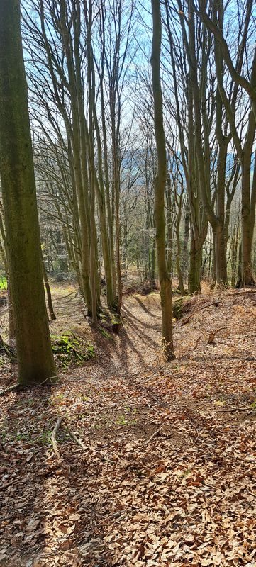 Gebertshof/Bergtour