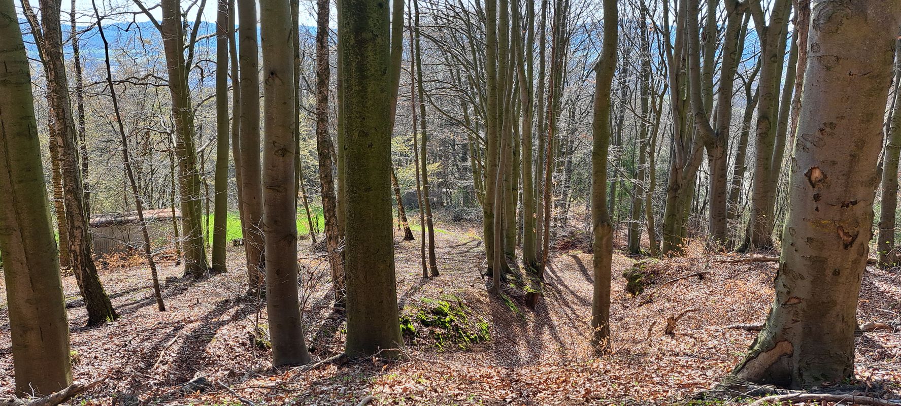 Gebertshof/Bergtour