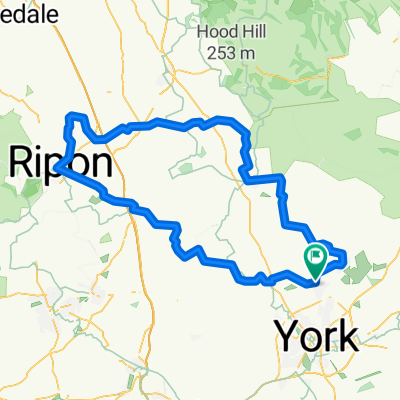 Wiggy 100km 2023