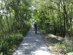 Highlight 8 along the Bikemap route "Pe malul Dunarii"