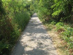 Highlight 11 along the Bikemap route "Pe malul Dunarii"