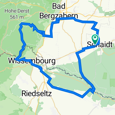 2023-04-15_Wald