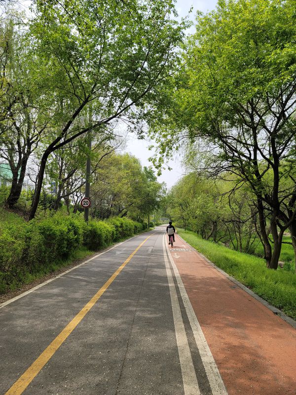 72 ~ 내발산동 756
