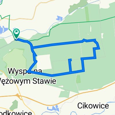 Półmaraton puszcza