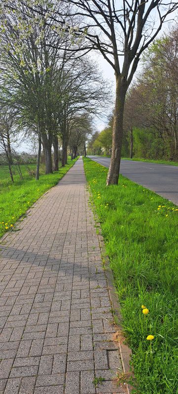 Schnelle Runde über Dägeling und Lägerdorf